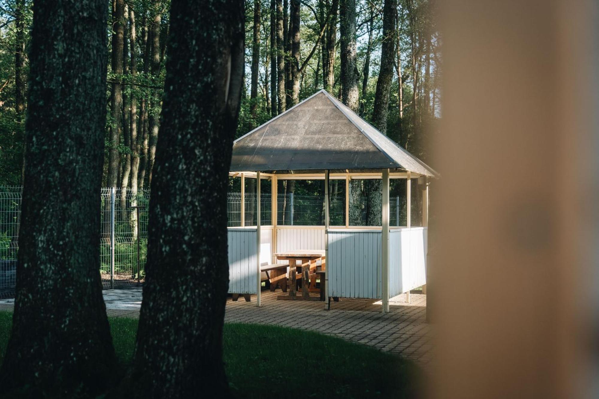 Nemirseta Forest Apartments Palanga Eksteriør bilde